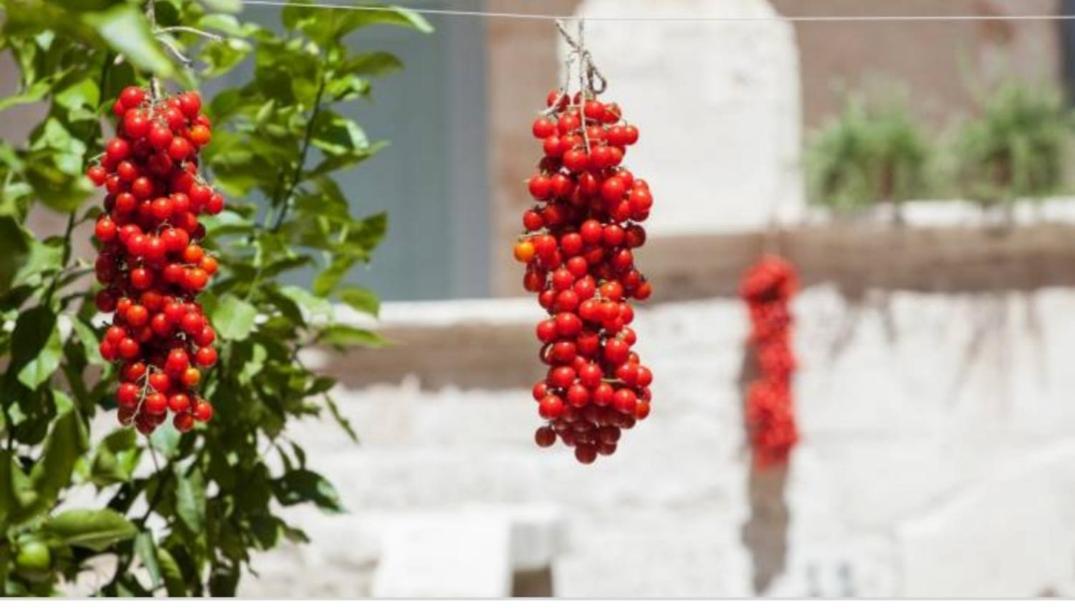Willa Casa Santa Caterina Ostuni Zewnętrze zdjęcie